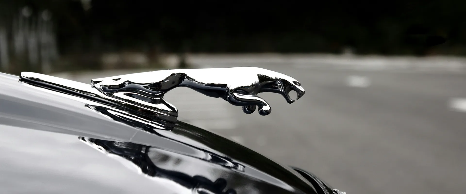 Jaguar Repair and Service near Highlands Ranch, CO